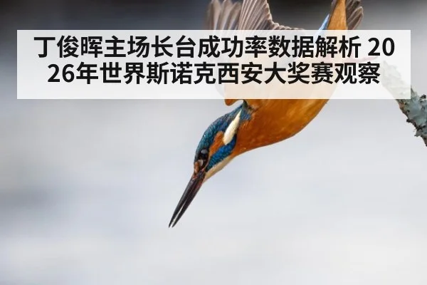 丁俊晖主场长台成功率数据解析 2026年世界斯诺克西安大奖赛观察